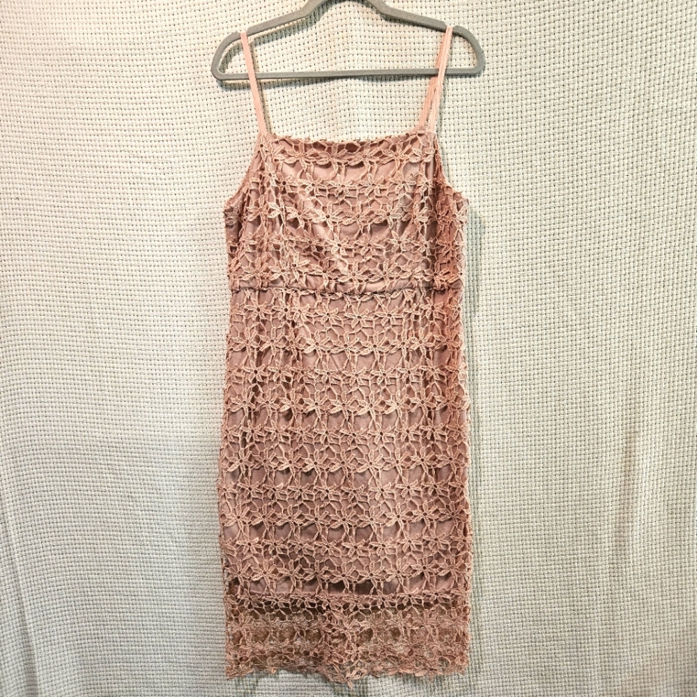 Papaya Sz 16 Elegant Pastel Pink Lace Overlay Midi Dress